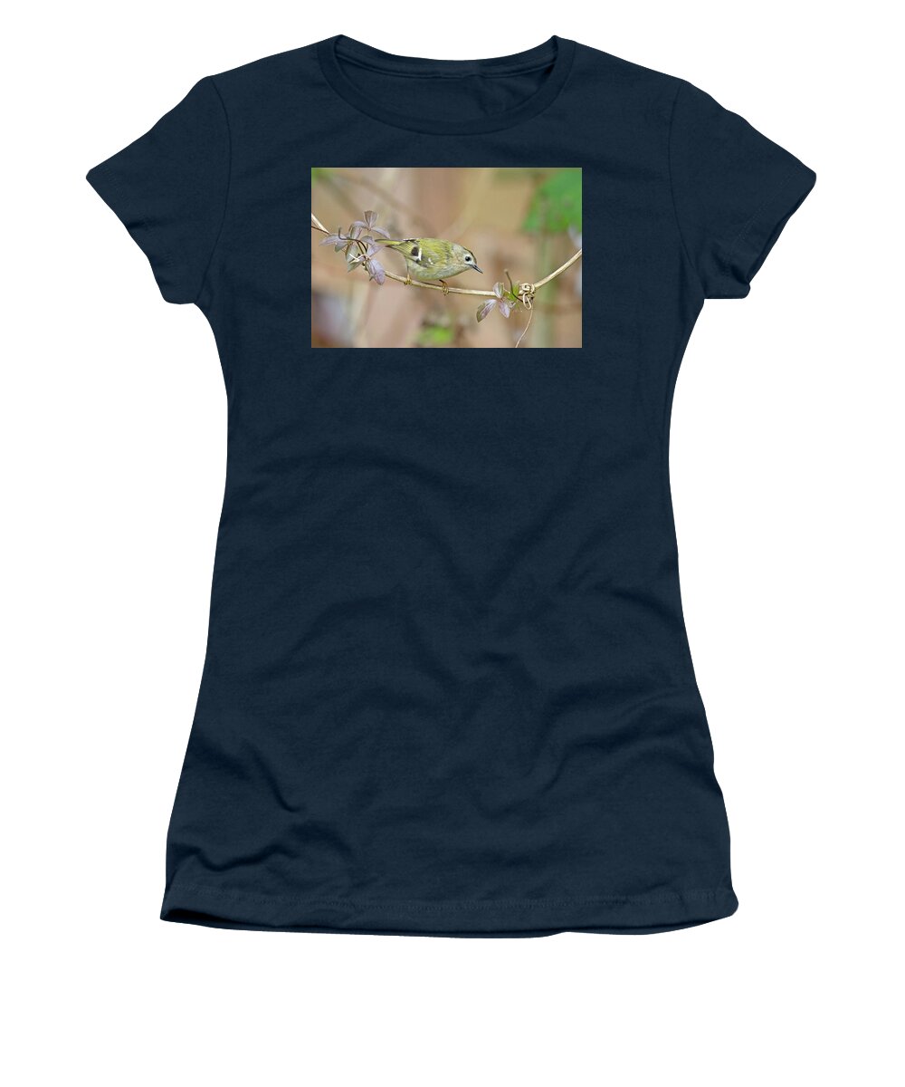 Goldcrest Women's T-Shirt featuring the photograph Goldcrest by Pete Walkden