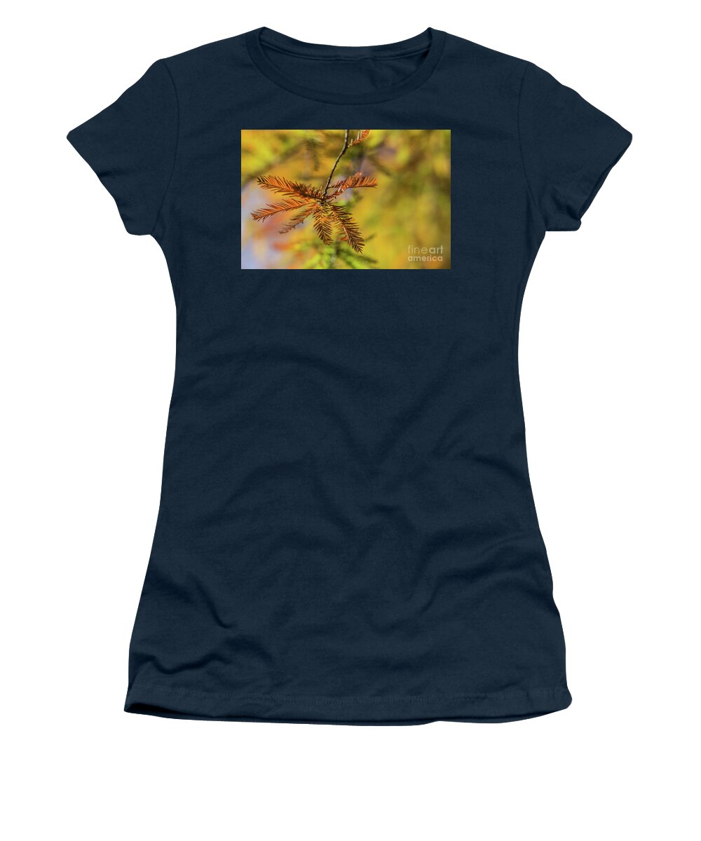 Nature Women's T-Shirt featuring the photograph Golden October by Eva Lechner