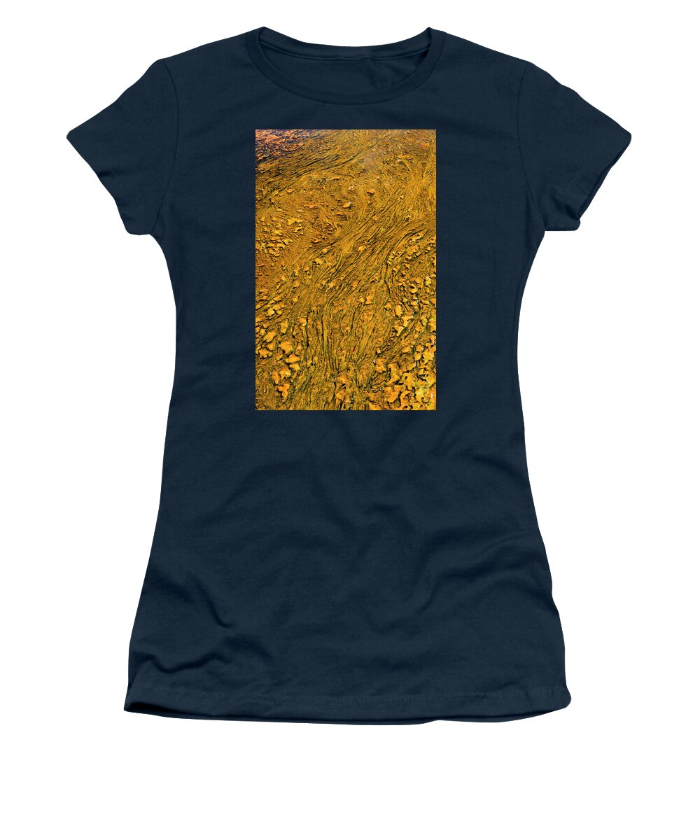 Wyoming Women's T-Shirt featuring the photograph Golden Threads by Norman Reid