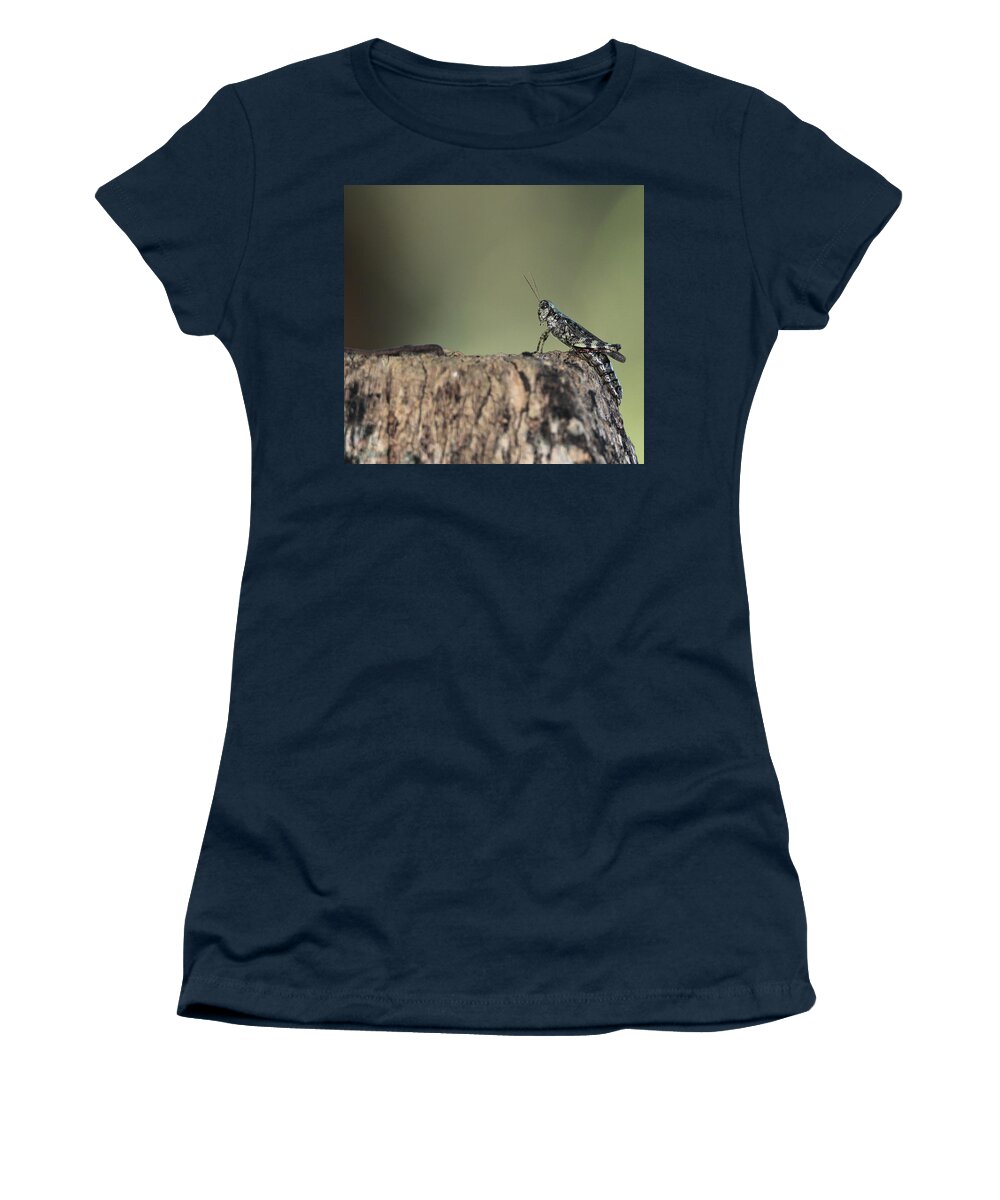 Grasshopper Women's T-Shirt featuring the photograph Grasshopper Great River New York by Bob Savage