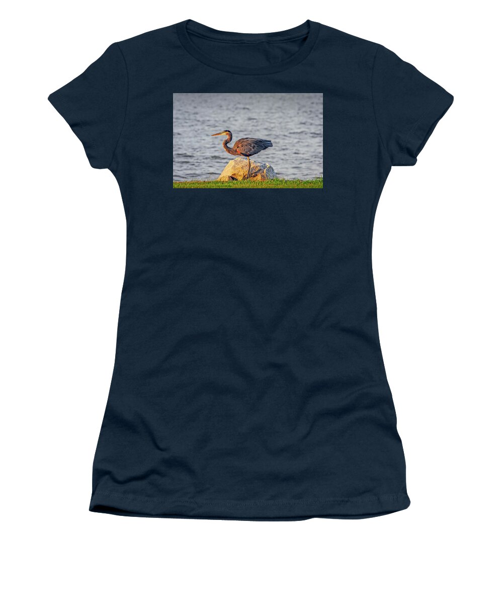 Ardea Herodias Women's T-Shirt featuring the photograph Great Blue Heron at sunset by Patrick Wolf