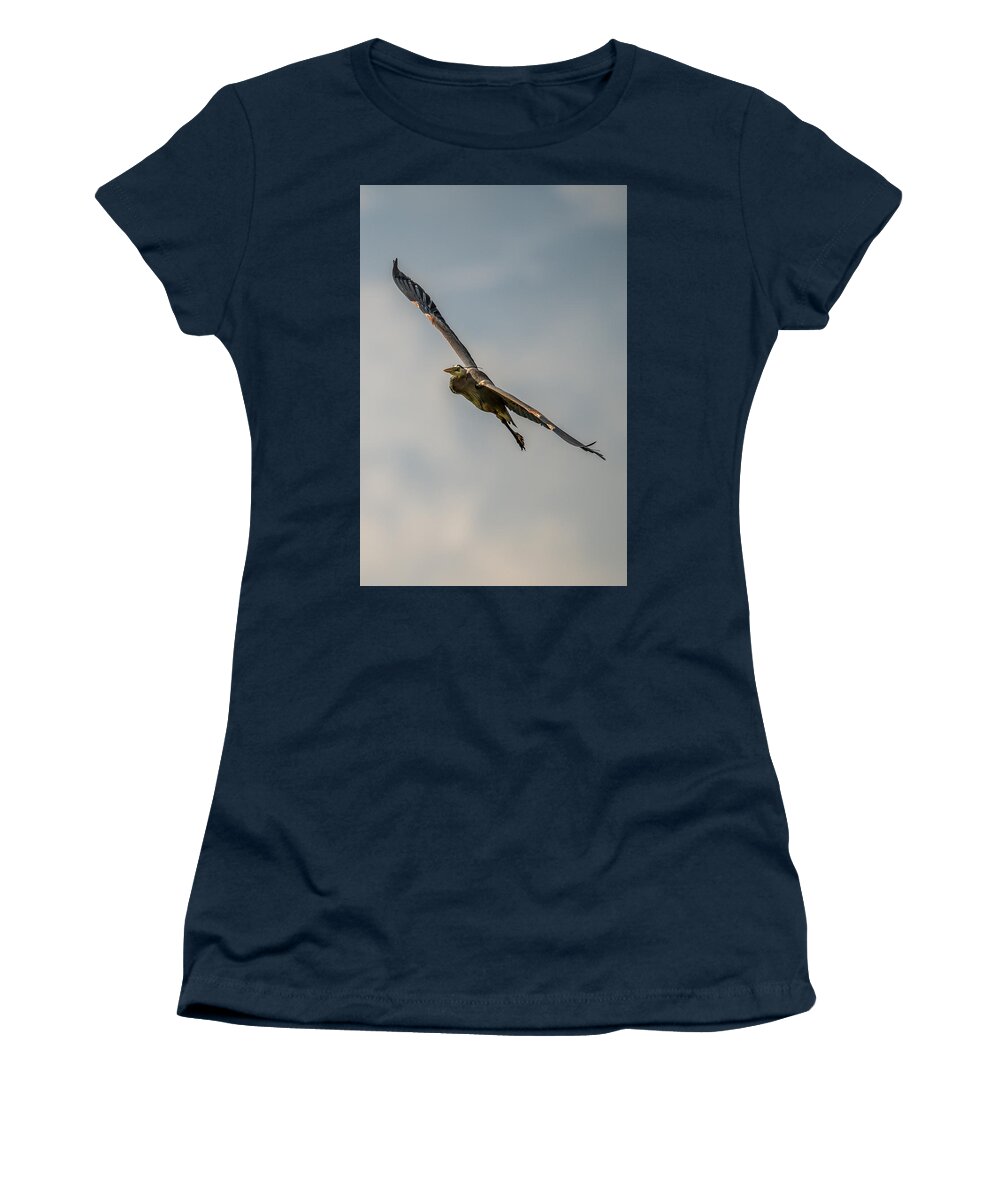 Wildlife Women's T-Shirt featuring the photograph Great blue Heron Gliding In by Paul Freidlund