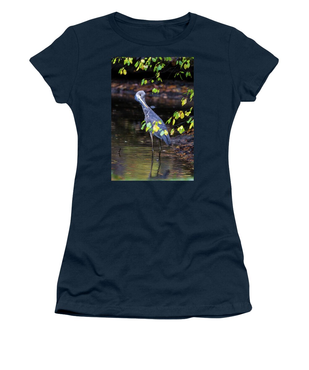 Great Blue Heron Women's T-Shirt featuring the photograph Great Blue Heron with an itch by Darryl Hendricks