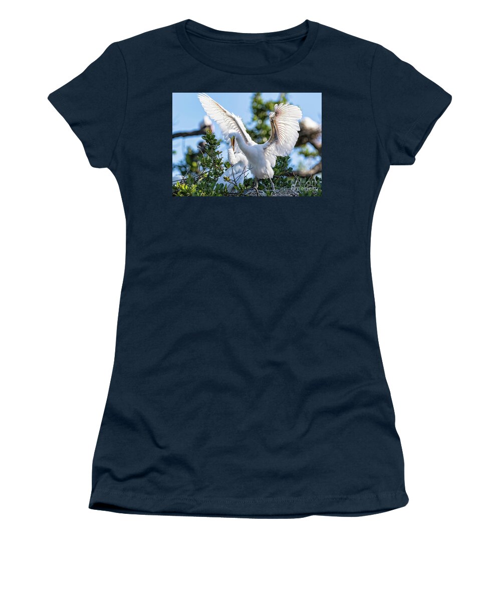 Egrets Women's T-Shirt featuring the photograph Great Egret Bullying Chick by DB Hayes