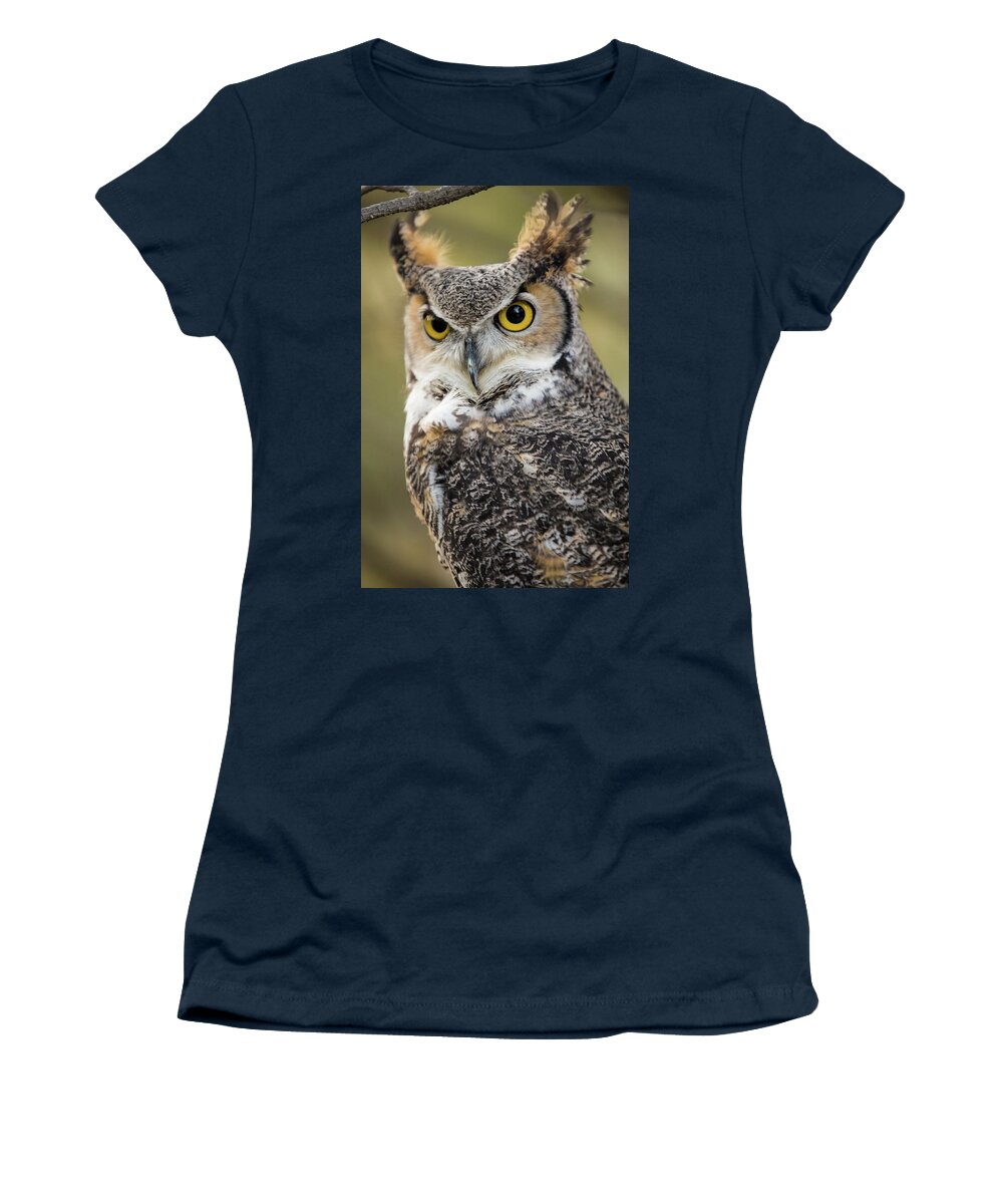Owl Women's T-Shirt featuring the photograph Great Horned Owl by Wesley Aston