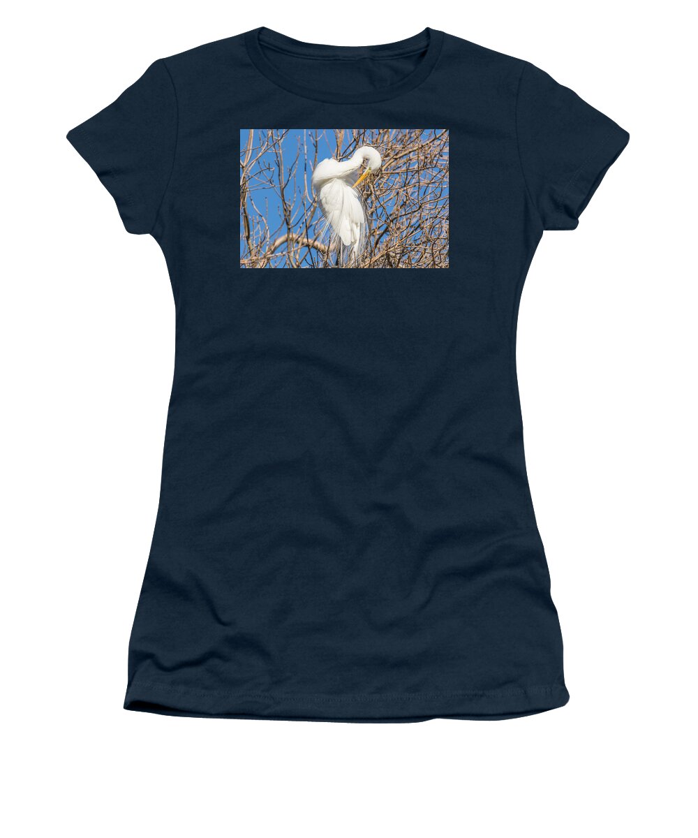 California Women's T-Shirt featuring the photograph Great White Egret in Tree by Marc Crumpler