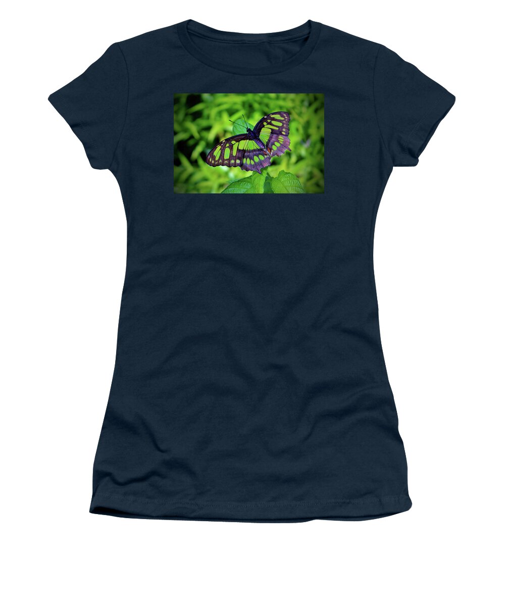Malachite Women's T-Shirt featuring the photograph Green And Black Butterfly by Cynthia Guinn
