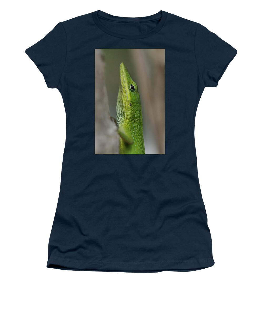 Green Anole Women's T-Shirt featuring the photograph Green Anole by Doris Potter
