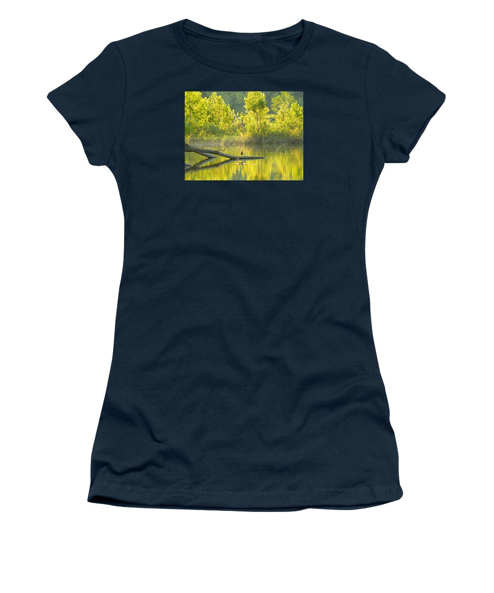 Bird Women's T-Shirt featuring the photograph Green Backed Heron Gold Pond by Kathy Barney
