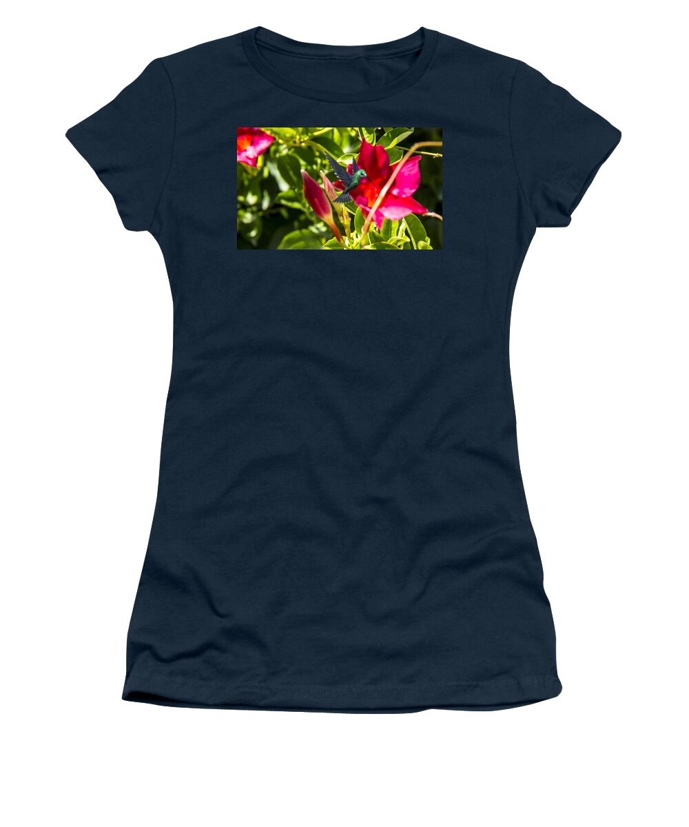 Green Hummingbird Women's T-Shirt featuring the photograph Green Hummingbird by Pat Cook