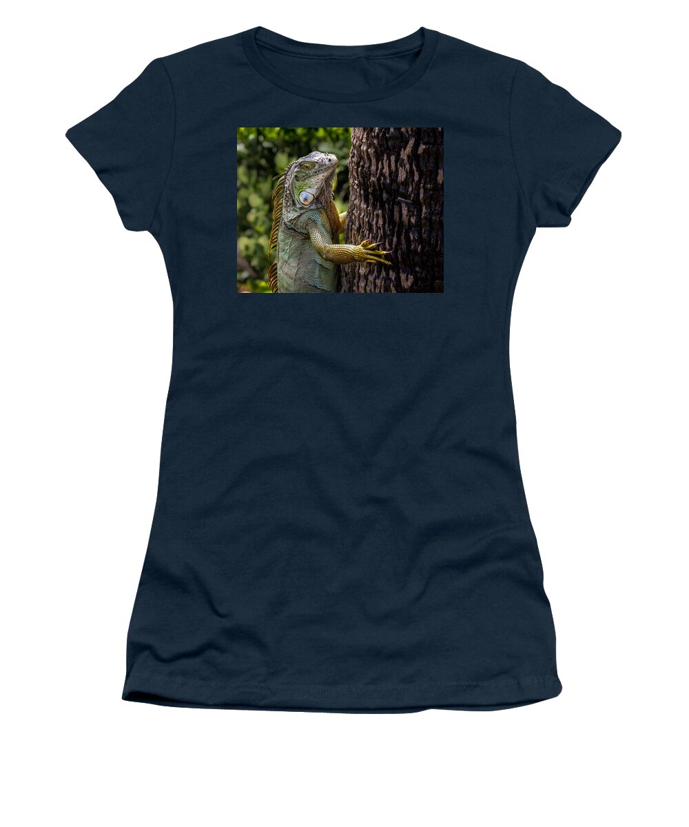 Florida Women's T-Shirt featuring the photograph Green Iguana by Ron Pate