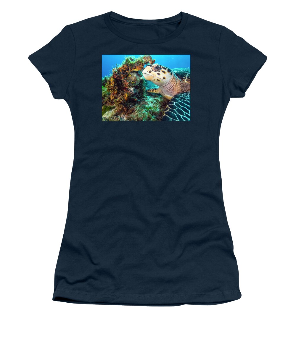 Green Turtle Women's T-Shirt featuring the photograph Green Turtle Profile by Matt Swinden