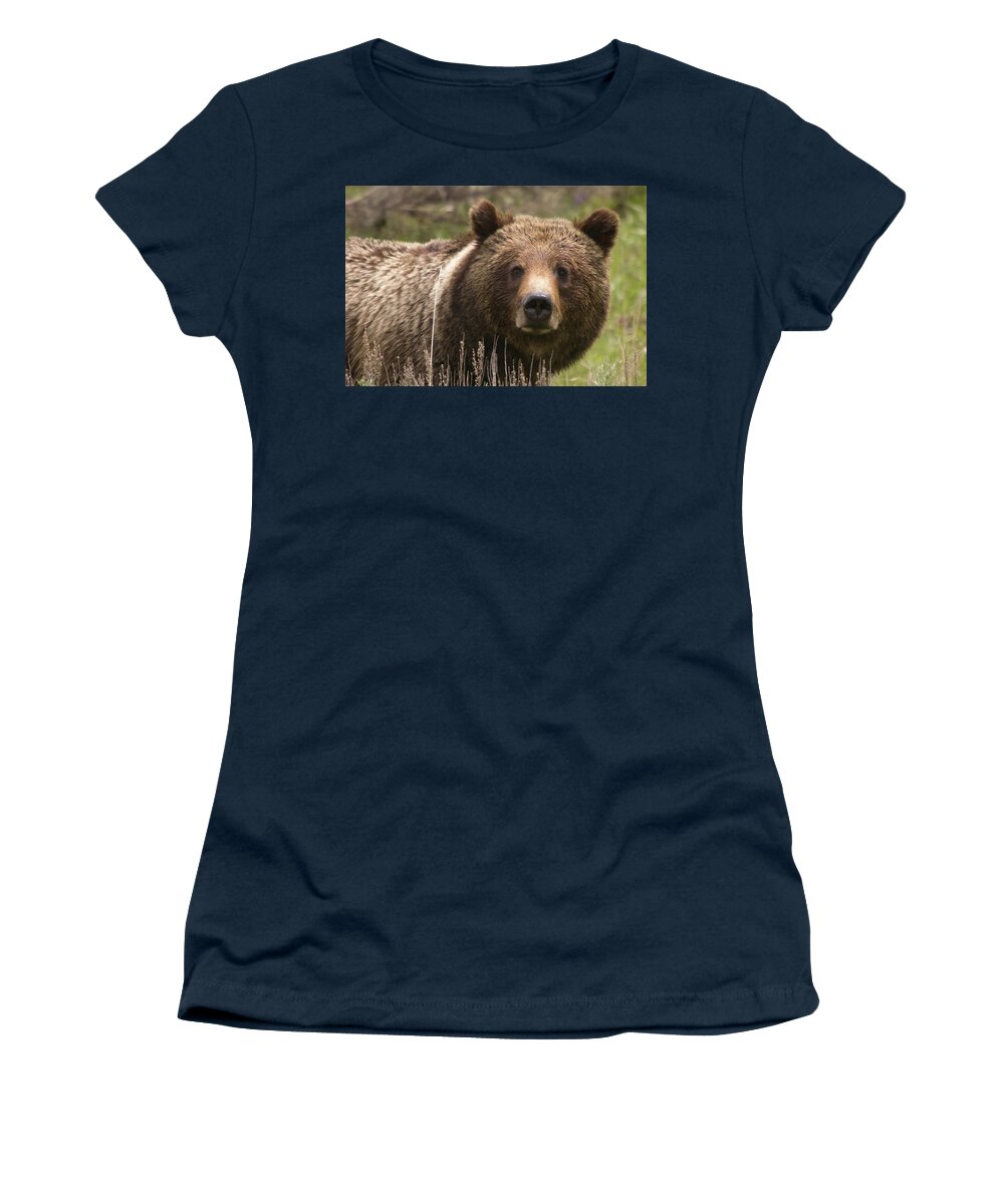Grizzly Bear Women's T-Shirt featuring the photograph Grizzly Portrait by Steve Stuller