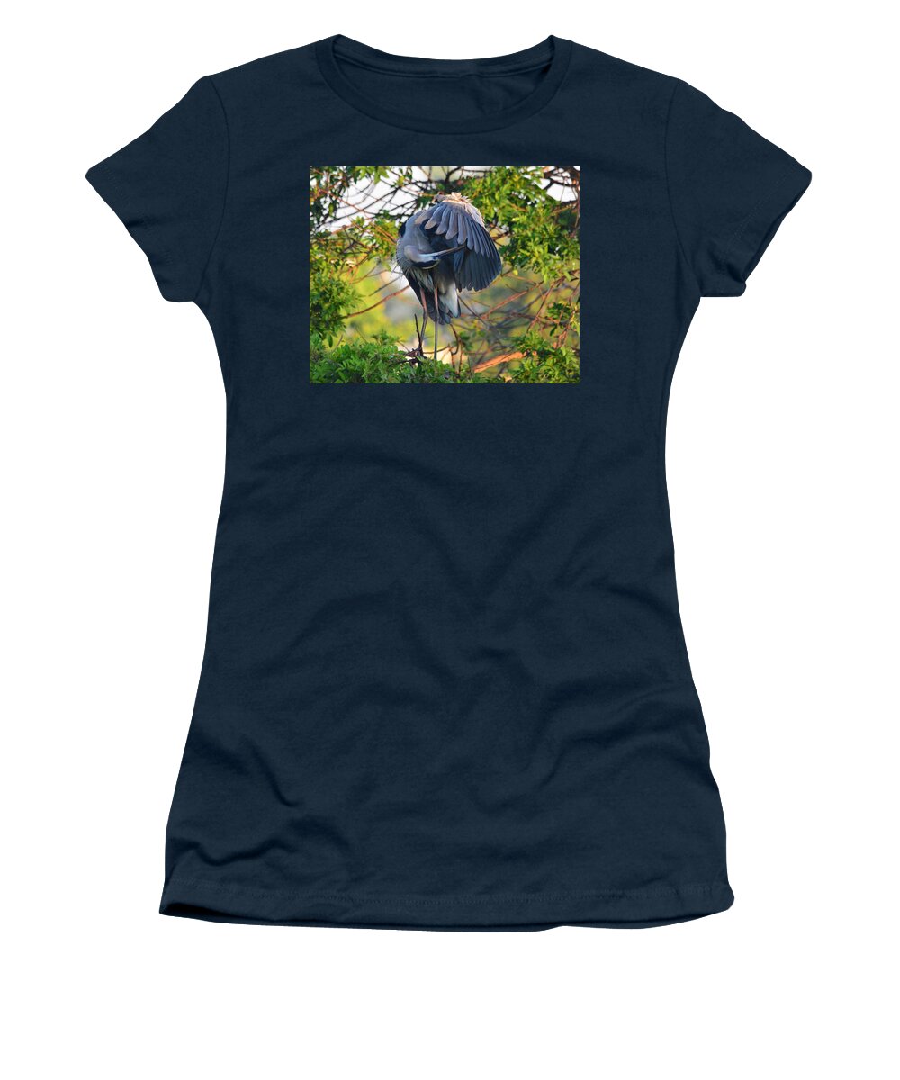 Sunrise Women's T-Shirt featuring the photograph Grooming Blue Heron by Patricia Twardzik