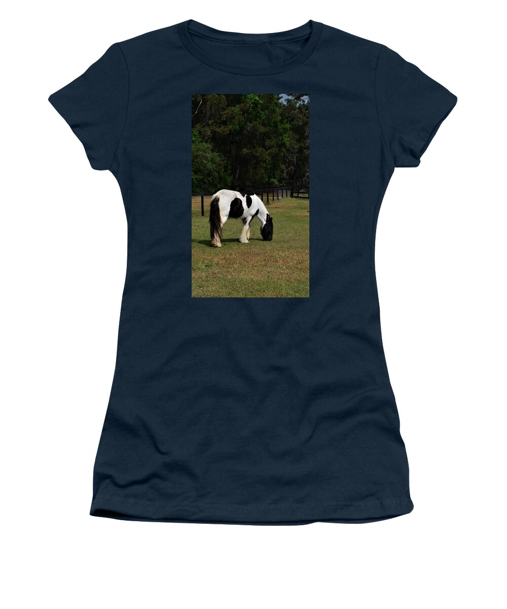 Gypsy Vanner Horse 2 Women's T-Shirt featuring the photograph Gypsy Vanner Horse 2 by Warren Thompson