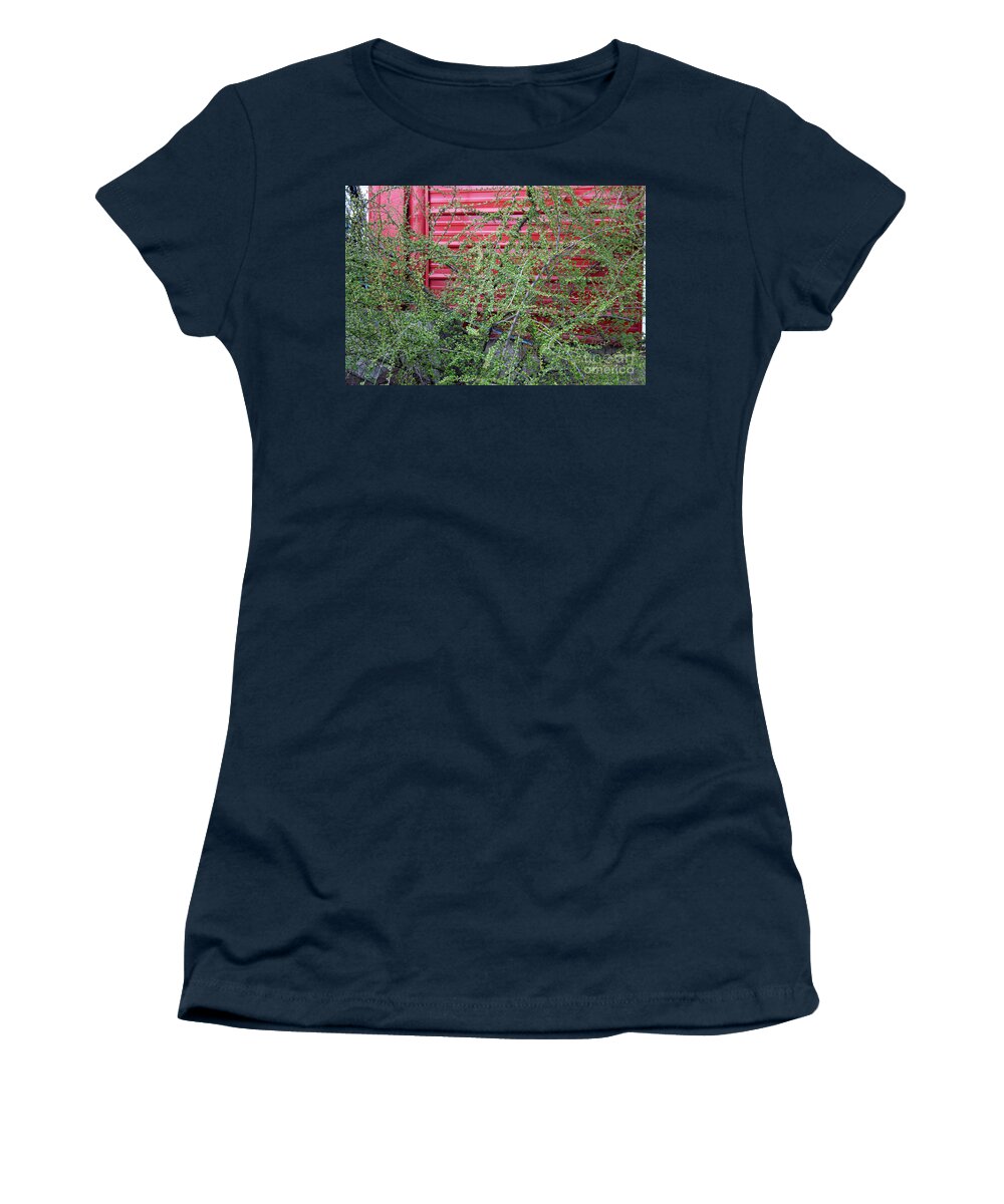 Greenery Women's T-Shirt featuring the photograph Hanna and Hanna Market Garden Greenery by Donna L Munro