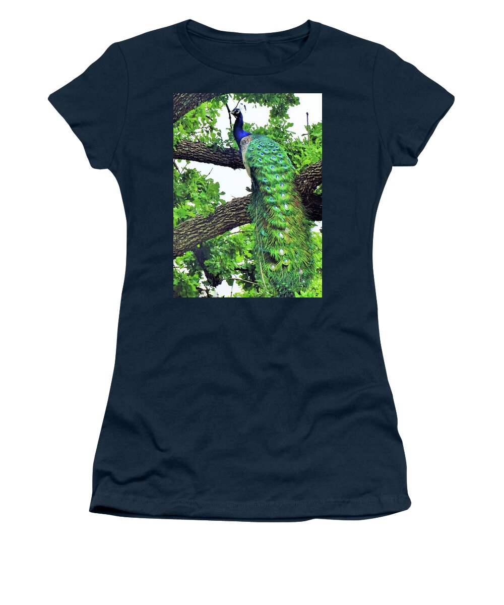 Peacock Women's T-Shirt featuring the photograph Happily Perching by Doris Aguirre