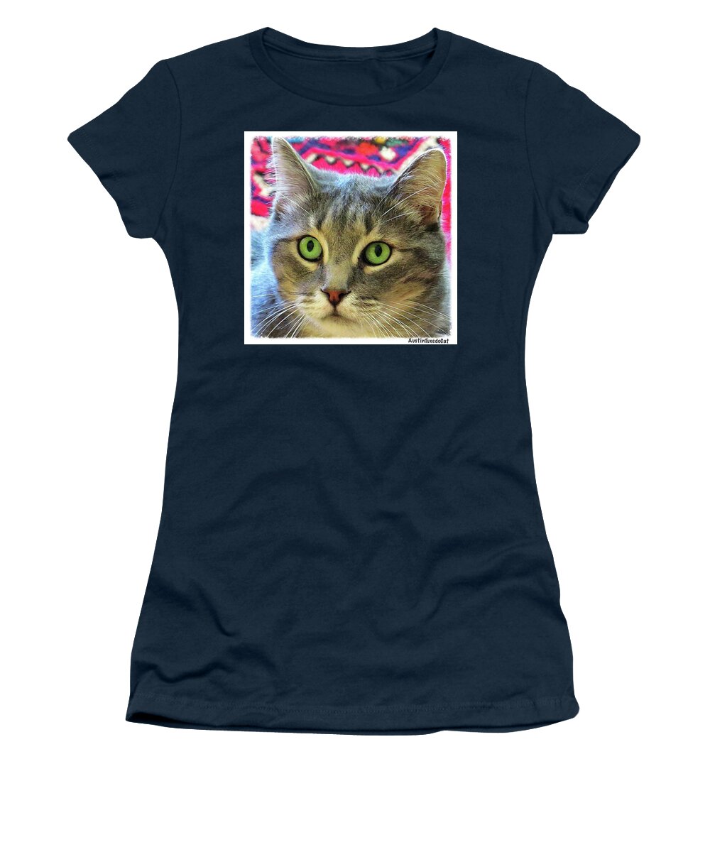 Catstagram Women's T-Shirt featuring the photograph Happy #caterday From Dr by Austin Tuxedo Cat