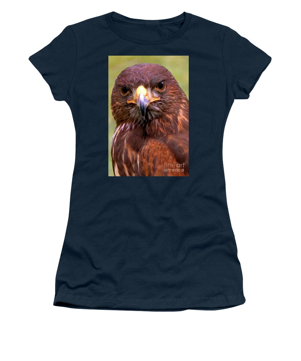 Bird Women's T-Shirt featuring the photograph Harris Hawk Portriat by Stephen Melia