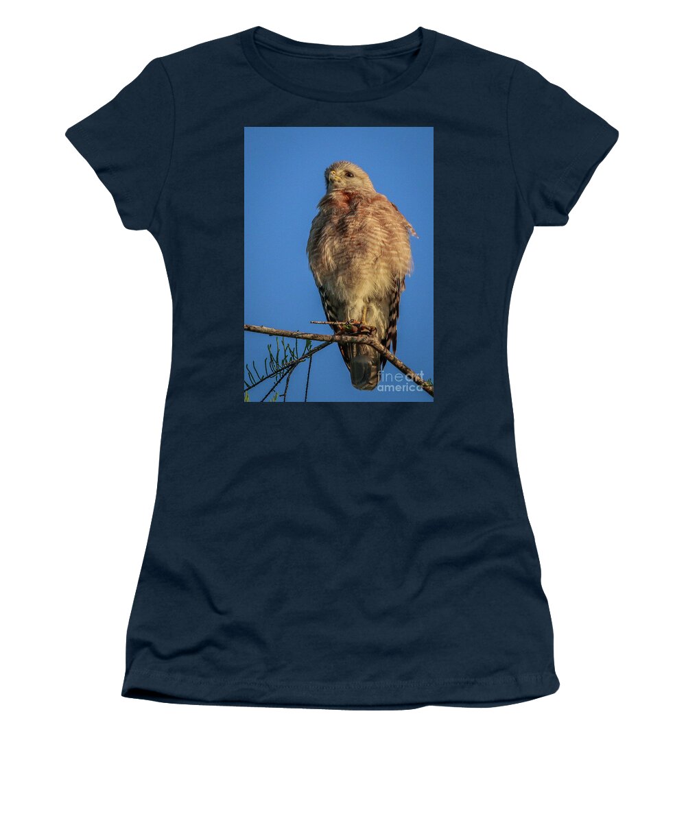 Hawk Women's T-Shirt featuring the photograph Hawk at Cypress Creek #2 by Tom Claud