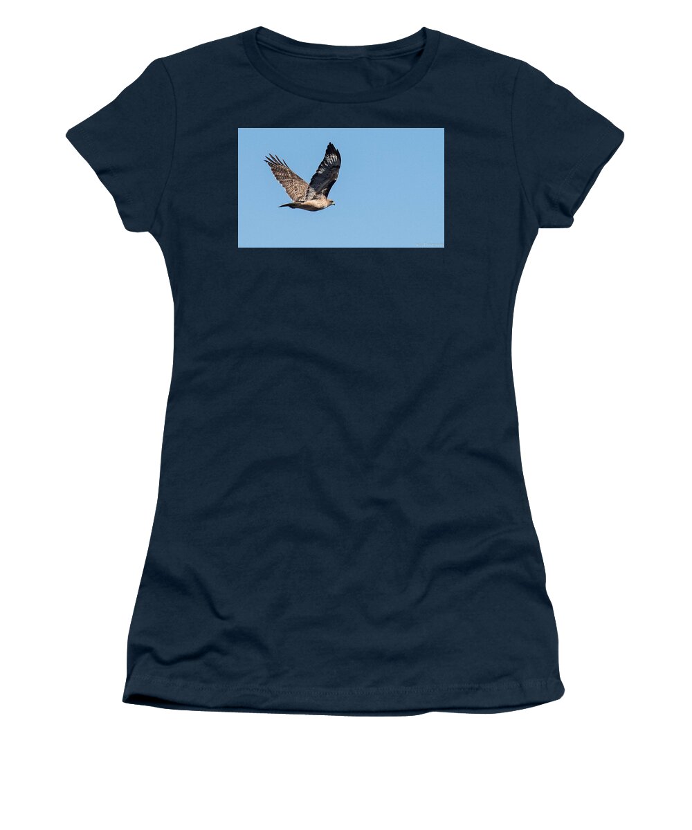 Nature Women's T-Shirt featuring the photograph Hawk in Flight by Wendy Carrington