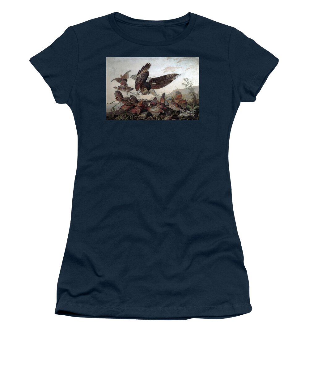 Audubon Women's T-Shirt featuring the painting Hawks Attacking Partridges by John James Audubon