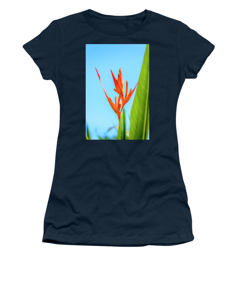 Flowers Women's T-Shirt featuring the photograph Heliconia Flower by Daniel Murphy