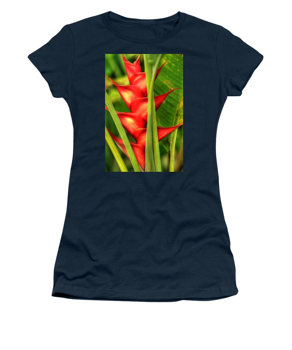 Heliconia Women's T-Shirt featuring the photograph Heliconia by Kelly Wade