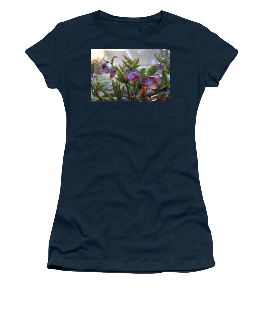Helleborus Women's T-Shirt featuring the photograph Helleborus Lenten Rose by Valerie Collins