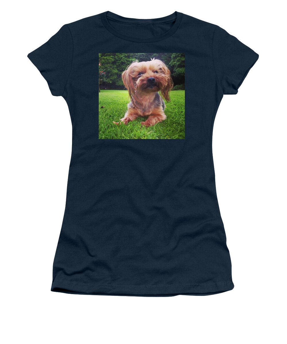 Dog Women's T-Shirt featuring the photograph Yorkie Girl by Rowena Tutty
