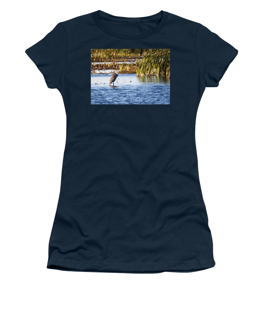 Birds Women's T-Shirt featuring the photograph Heron - Horicon Marsh - Wisconsin by Steven Ralser