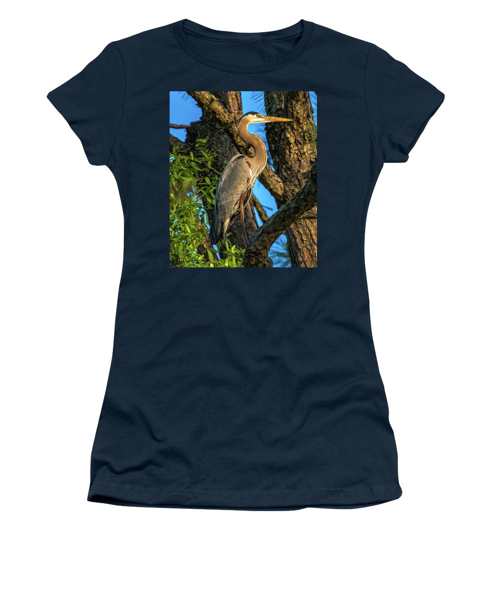 Pine Tree Women's T-Shirt featuring the photograph Heron in the Pine Tree by Dorothy Cunningham
