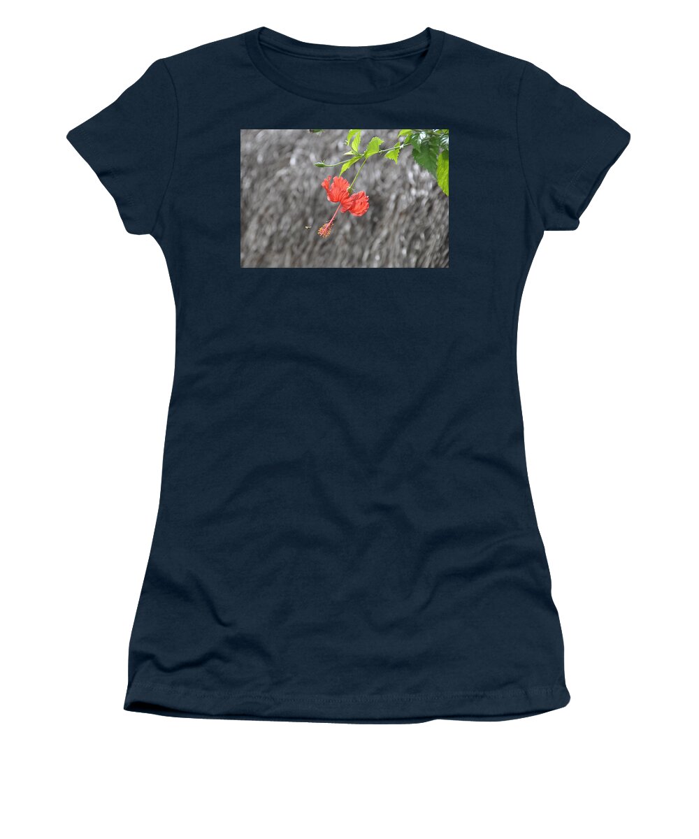 Pollinator Women's T-Shirt featuring the photograph Hibiscus and Pollinator by Rich Bodane