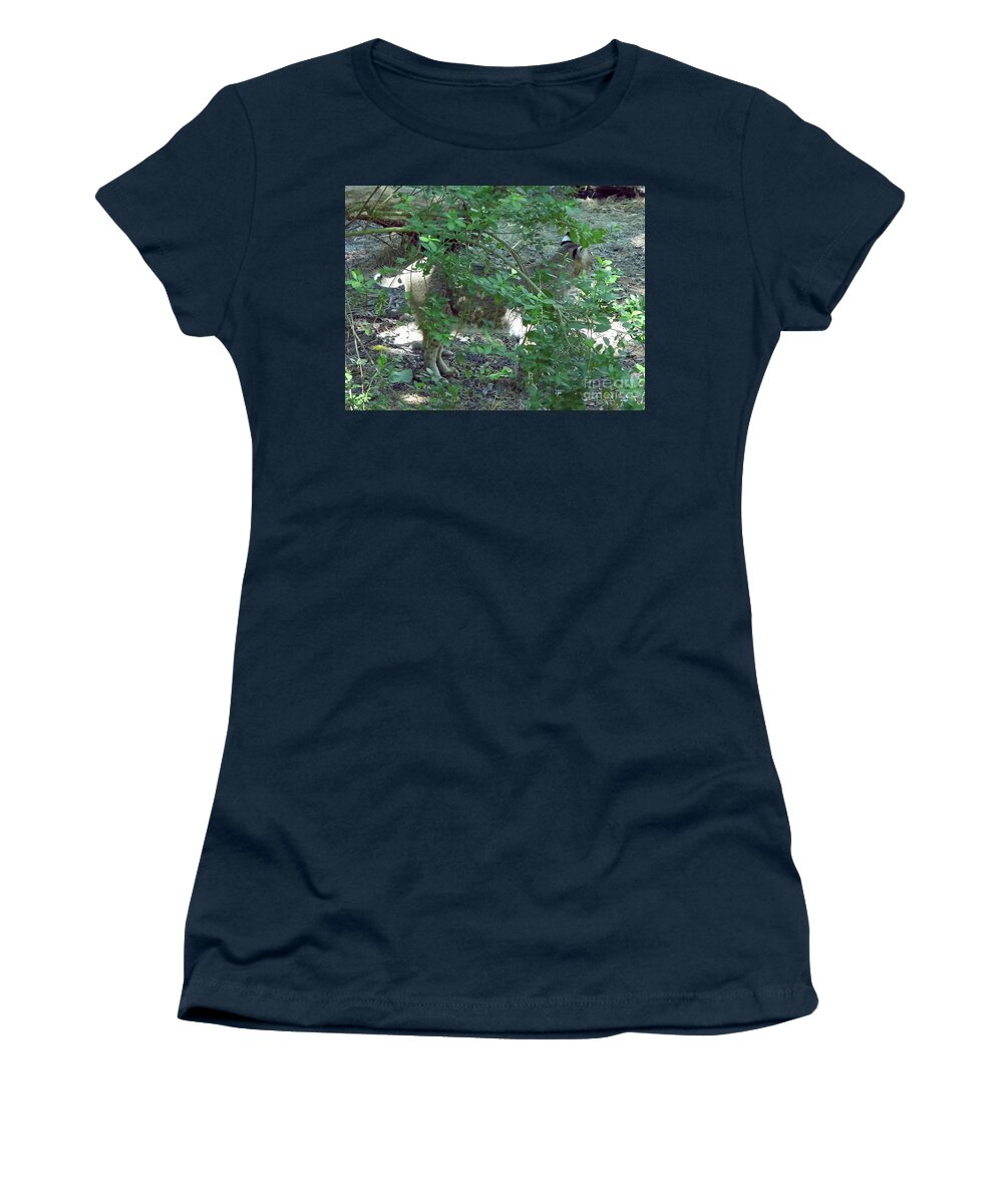 Bobcat Women's T-Shirt featuring the photograph Hidden Bobcat by D Hackett