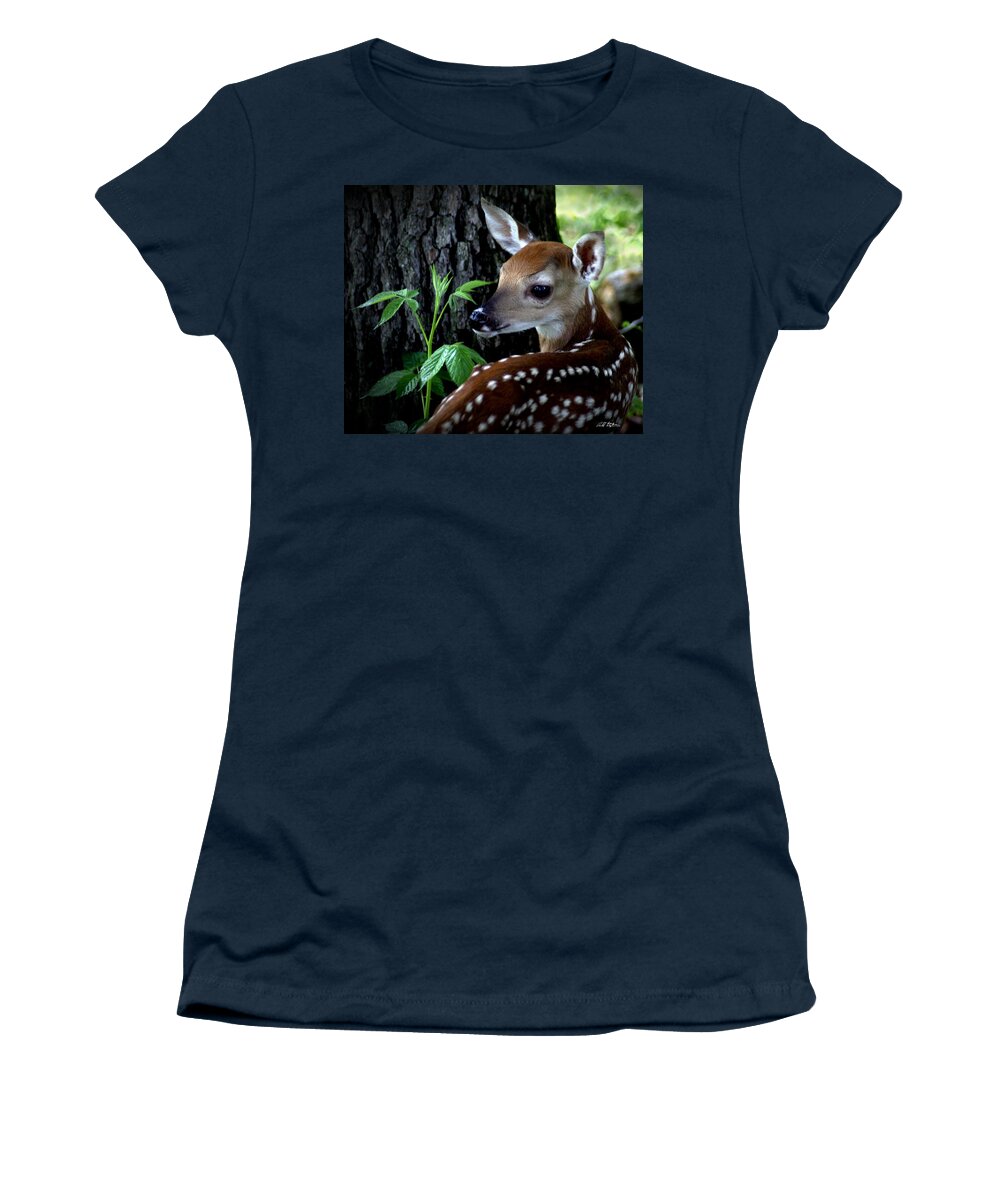 Deer Women's T-Shirt featuring the photograph His Handywork by Bill Stephens