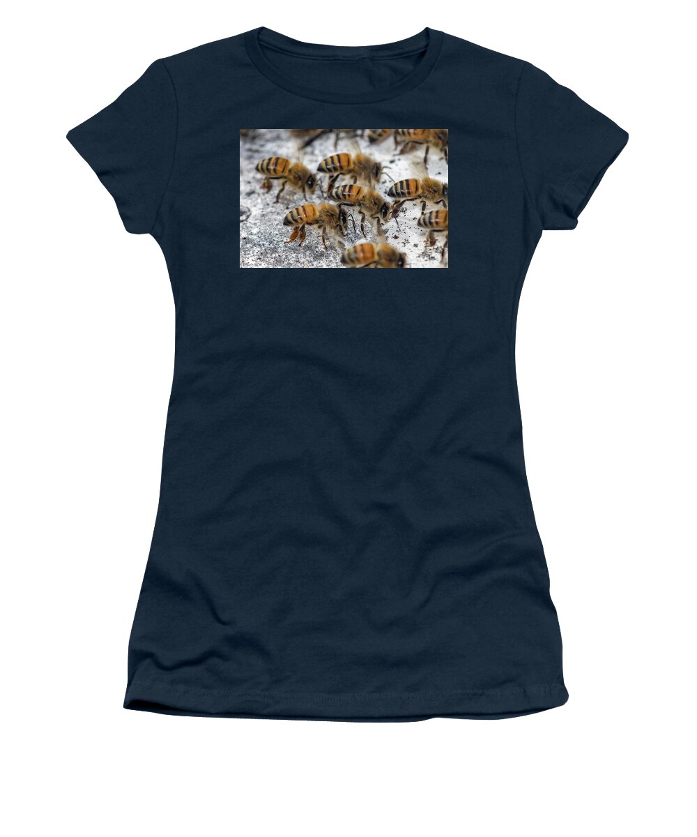 Apis Women's T-Shirt featuring the photograph Honey Bees fanning after storm by Shawn Jeffries