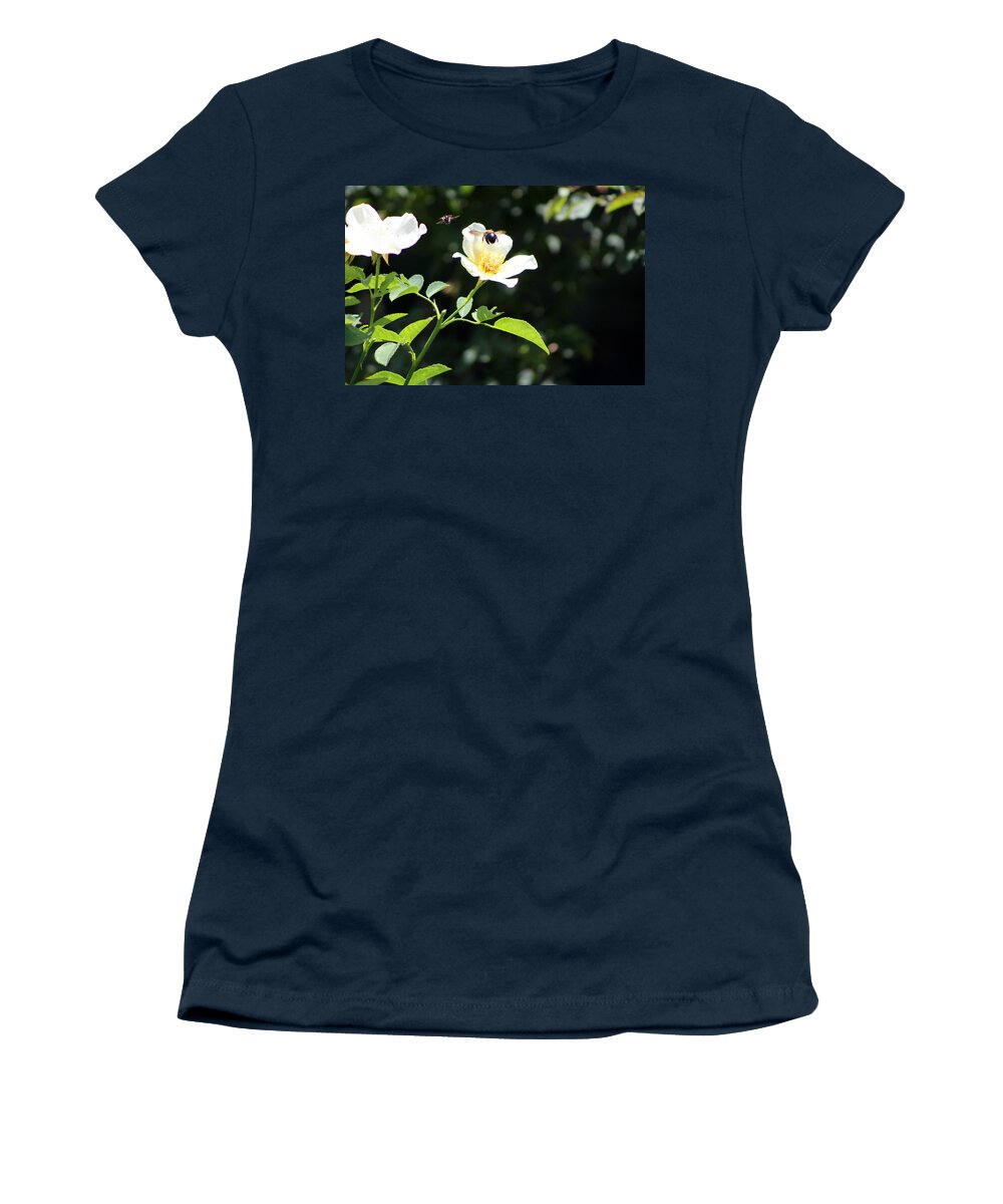 Honey Bee Women's T-Shirt featuring the photograph Honey Bees in Flight over White Rose by Colleen Cornelius