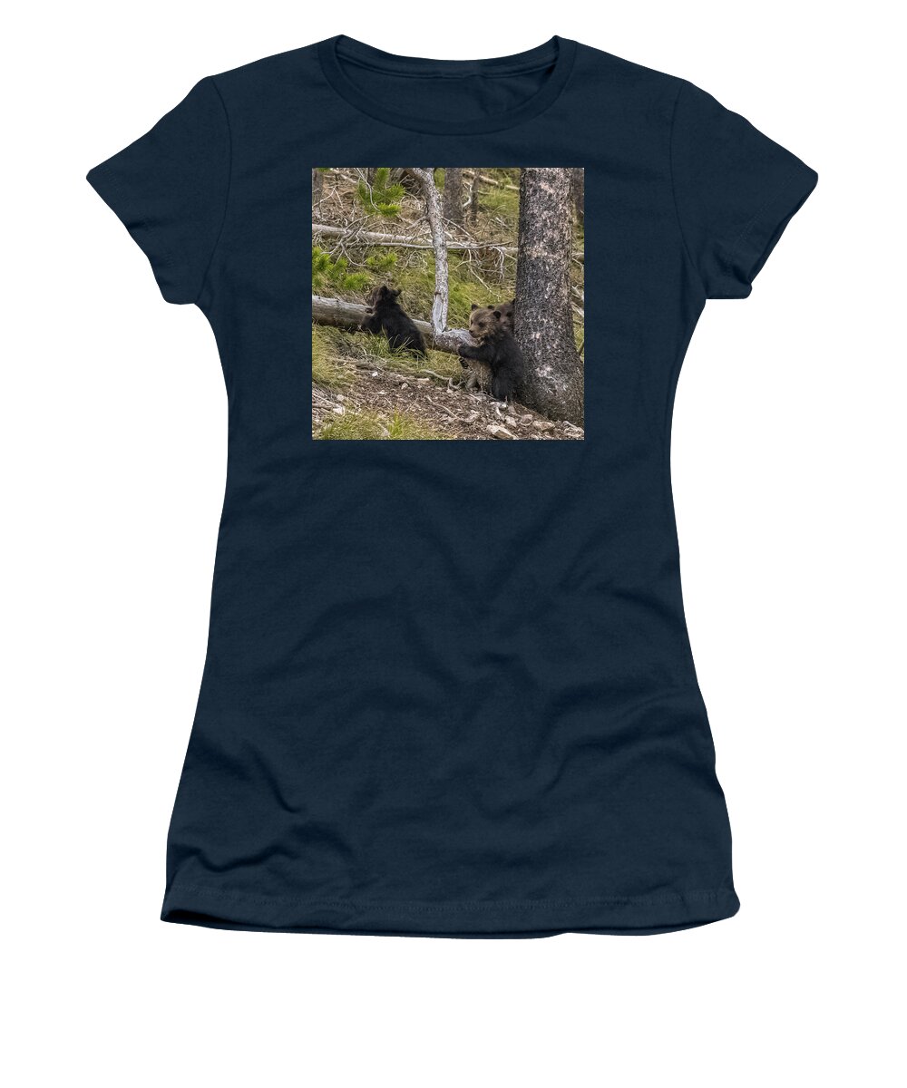 Grizzlies Women's T-Shirt featuring the photograph Hugging A Tree by Yeates Photography