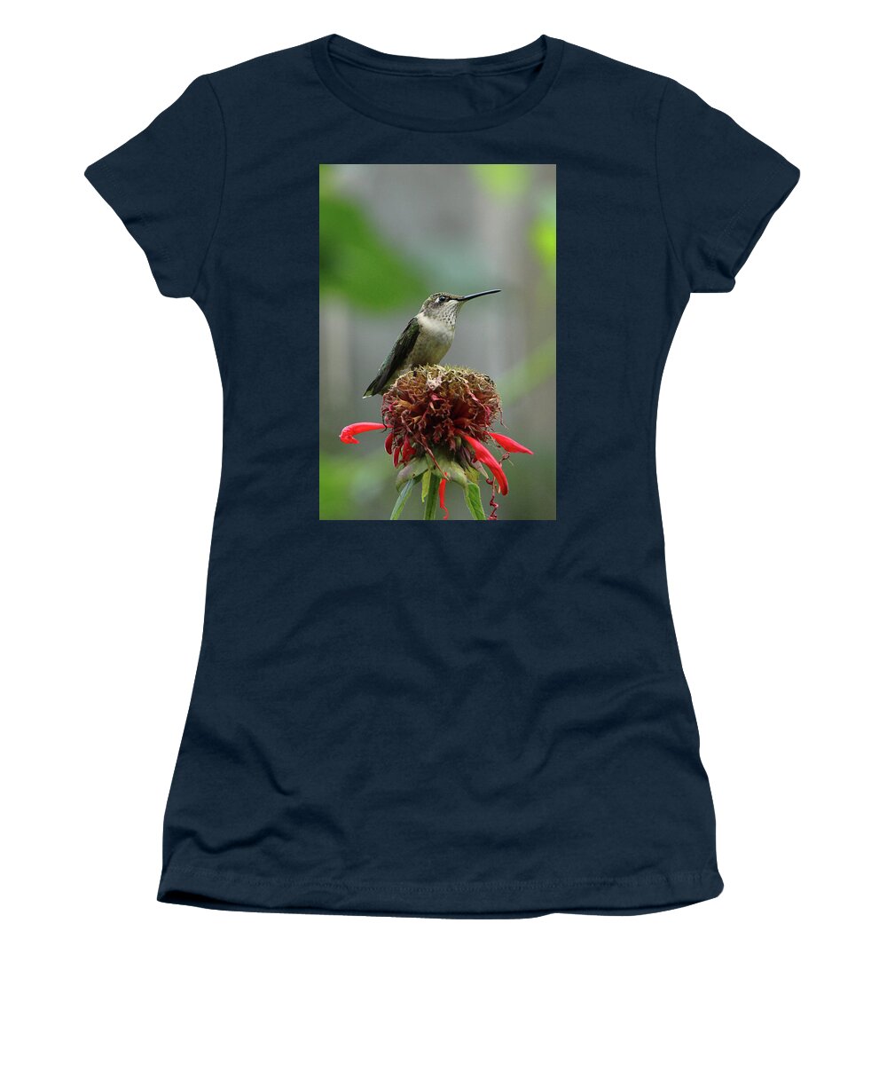 Humming Bird Women's T-Shirt featuring the photograph Humming Bird Atop Bee Balm by David Stasiak