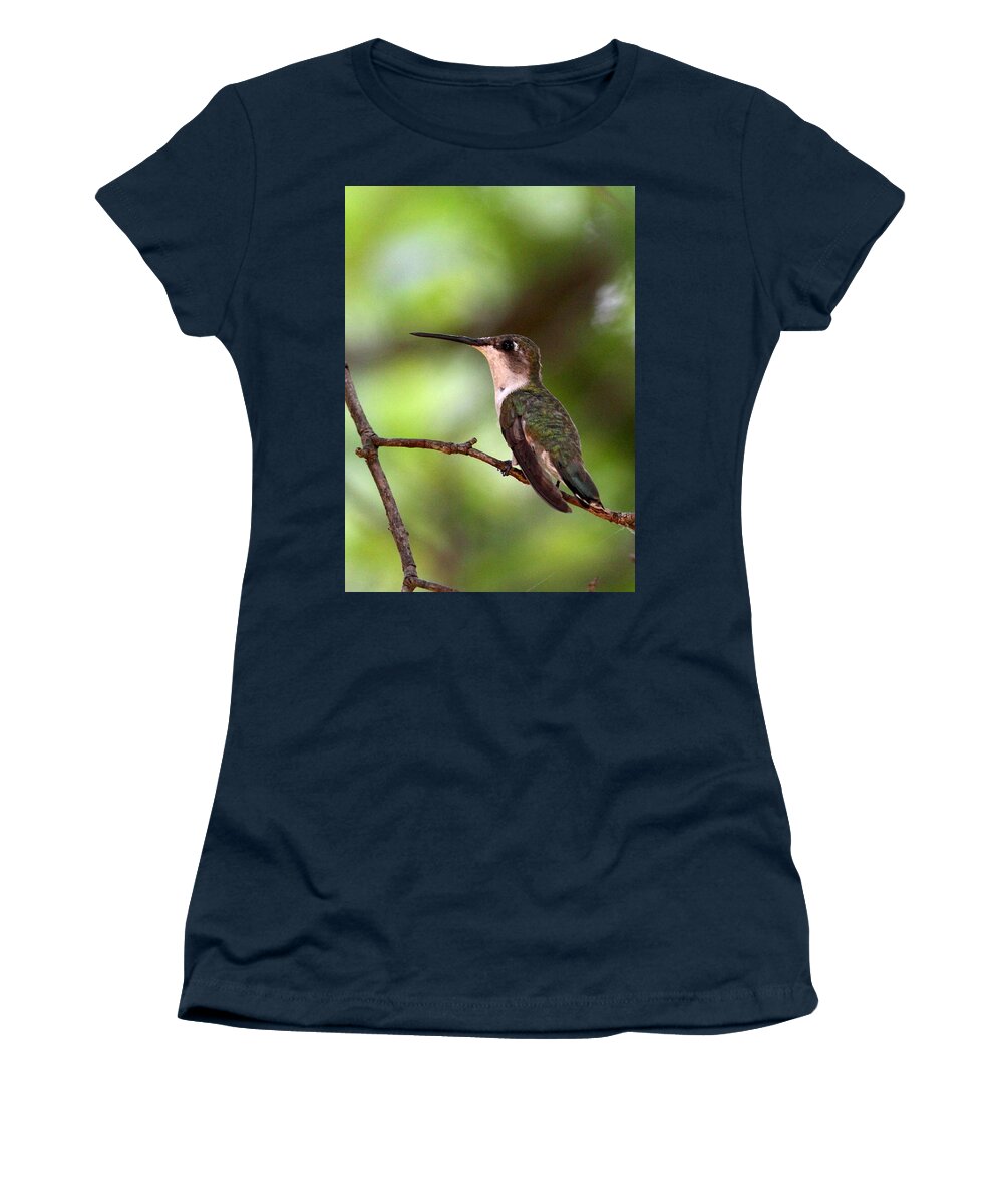5x7 Women's T-Shirt featuring the photograph Hummingbird - Afternoon Ruby by Travis Truelove