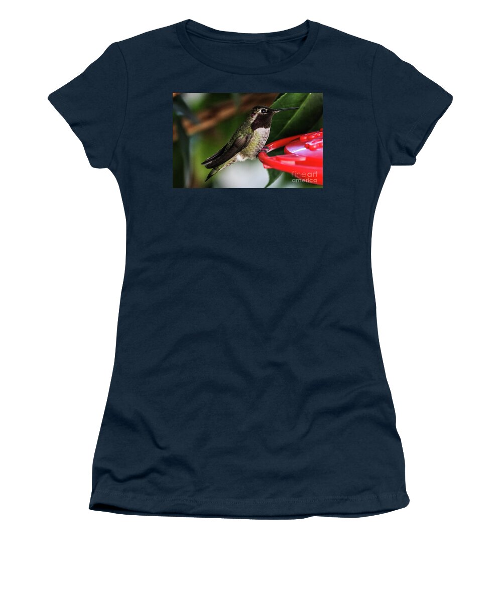 Hummingbird Women's T-Shirt featuring the photograph Hummingbird by Suzanne Luft