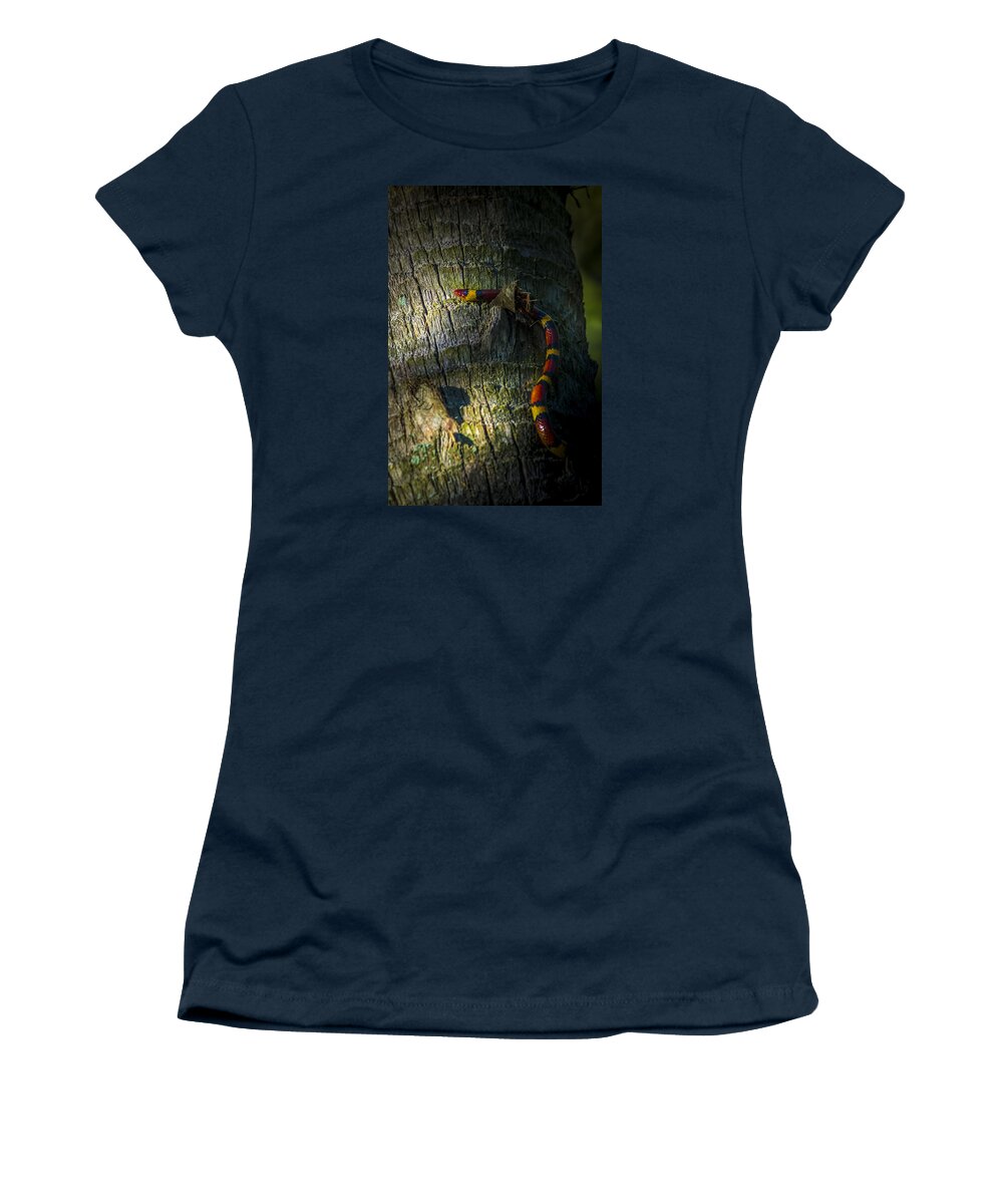 King Snake Women's T-Shirt featuring the photograph I See You by Marvin Spates
