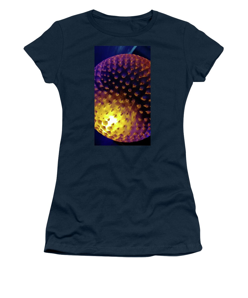 Ice Women's T-Shirt featuring the photograph Ice Golden Globe by DiDesigns Graphics