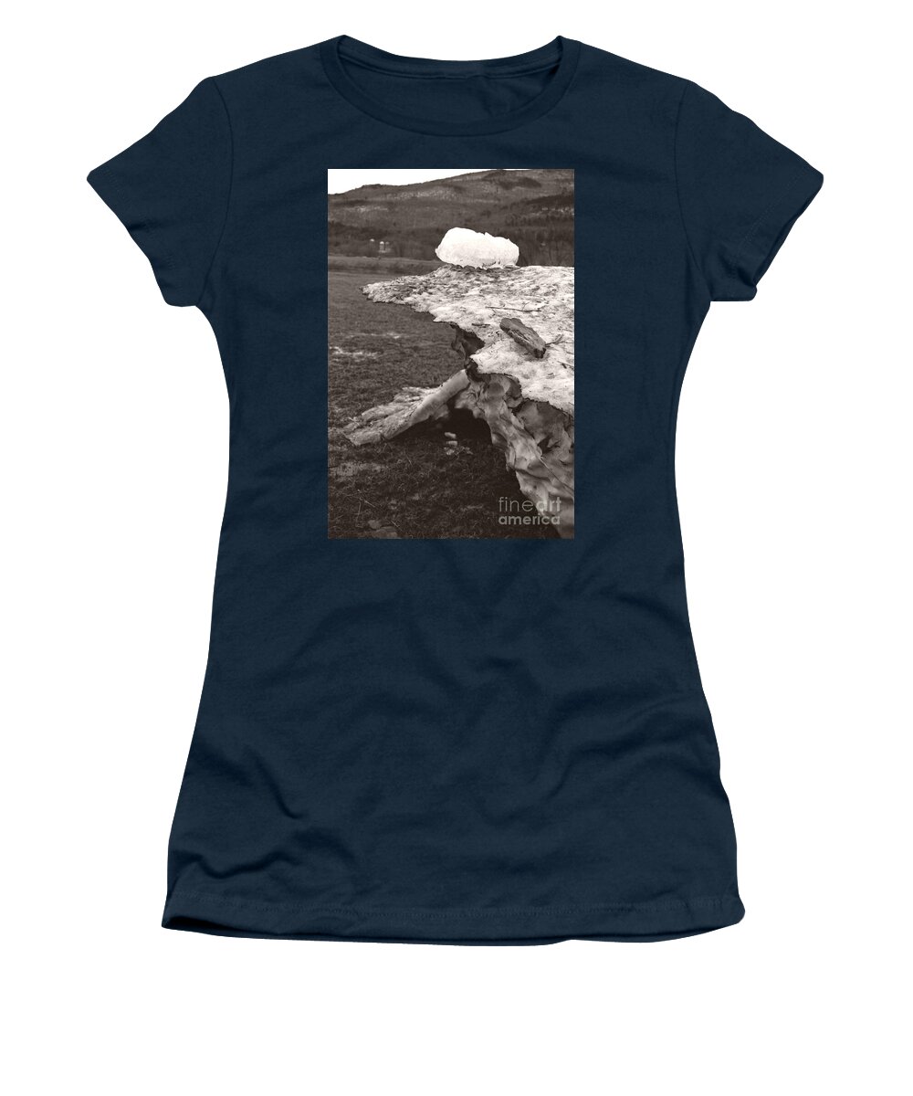  Women's T-Shirt featuring the photograph Iceberg Silo by Heather Kirk