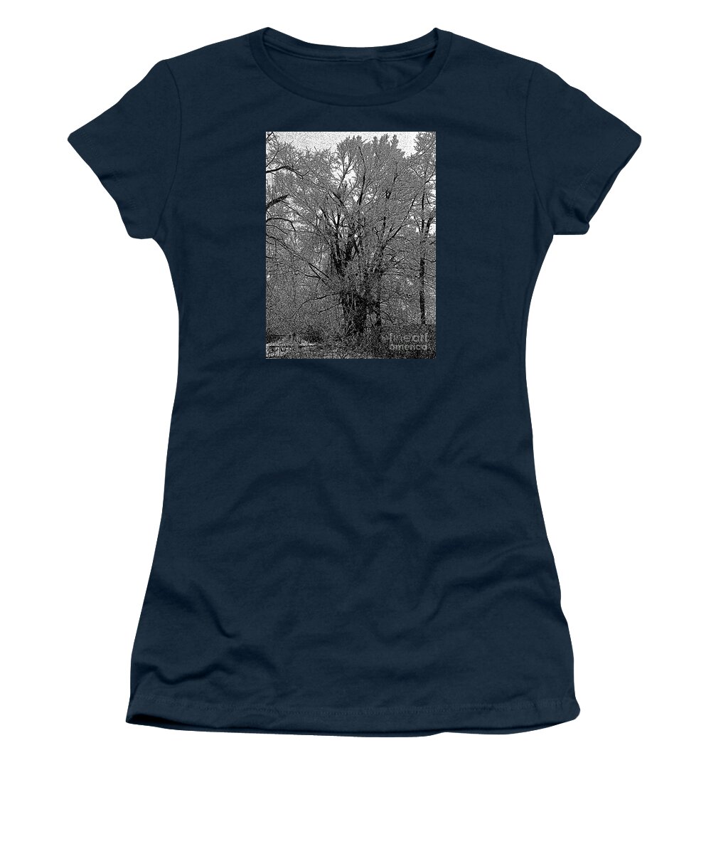 Ice Iced Tree Forest Limb Branch Cold Winter Hoarfrost Frost Outdoors Landscape Craig Walters A An The Art Artist Artistic Photo Photograph Photographic Women's T-Shirt featuring the digital art Iced Tree by Craig Walters