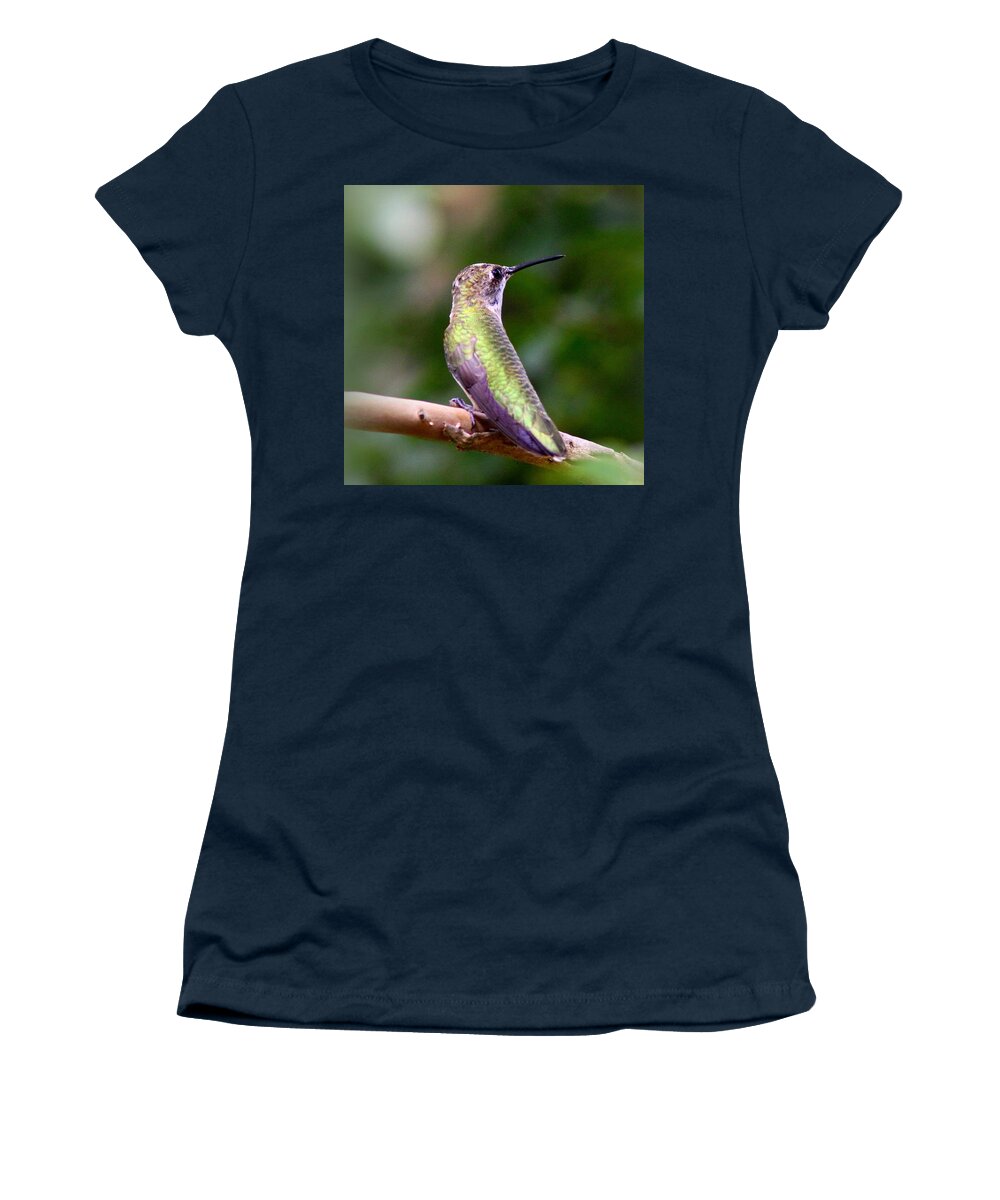  Ruby-throated Hummingbird Women's T-Shirt featuring the photograph IMG_0909-006 - Ruby-throated Hummingbird by Travis Truelove