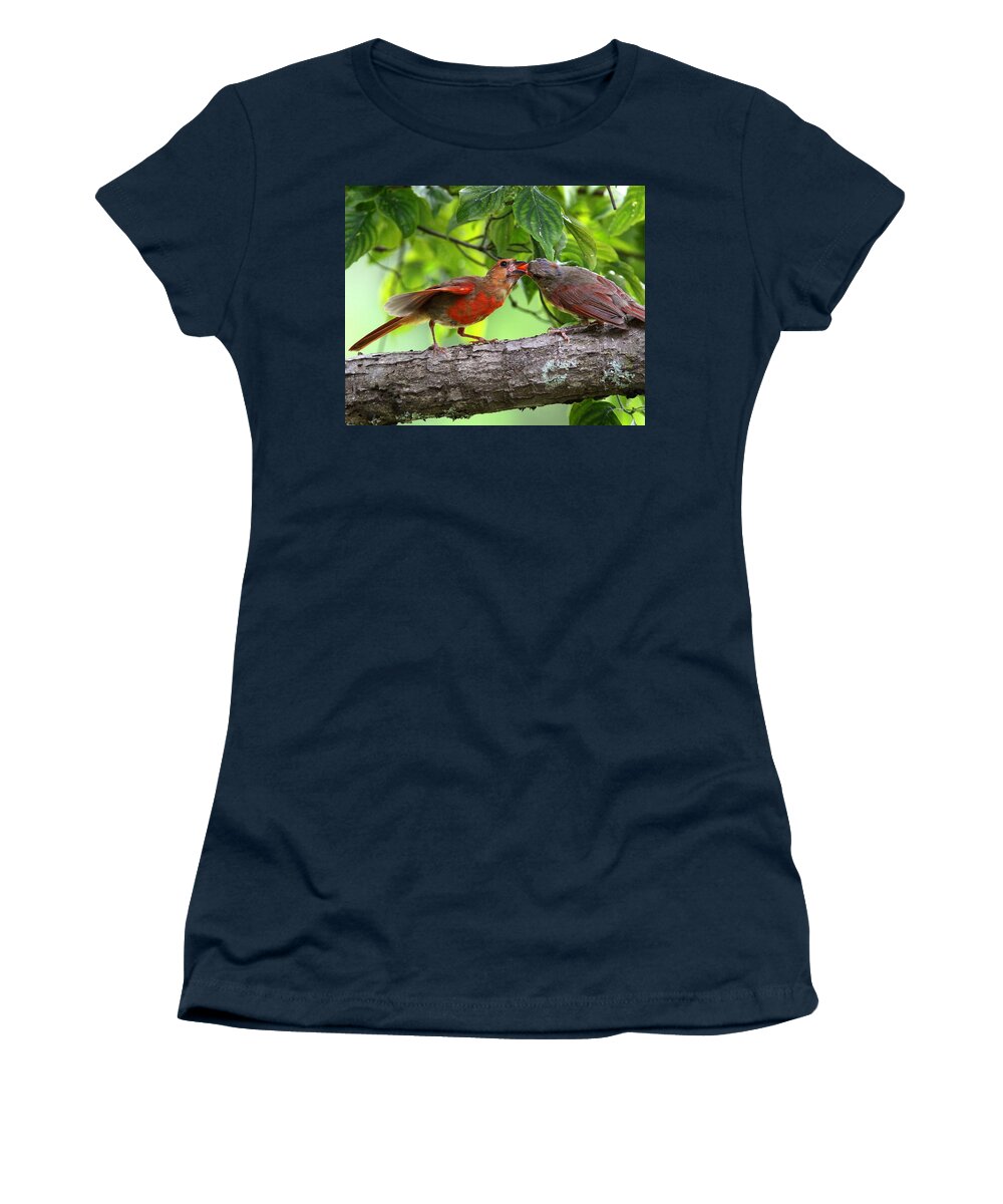 Northern Cardinal Women's T-Shirt featuring the photograph IMG_4283 - Northern Cardinal by Travis Truelove