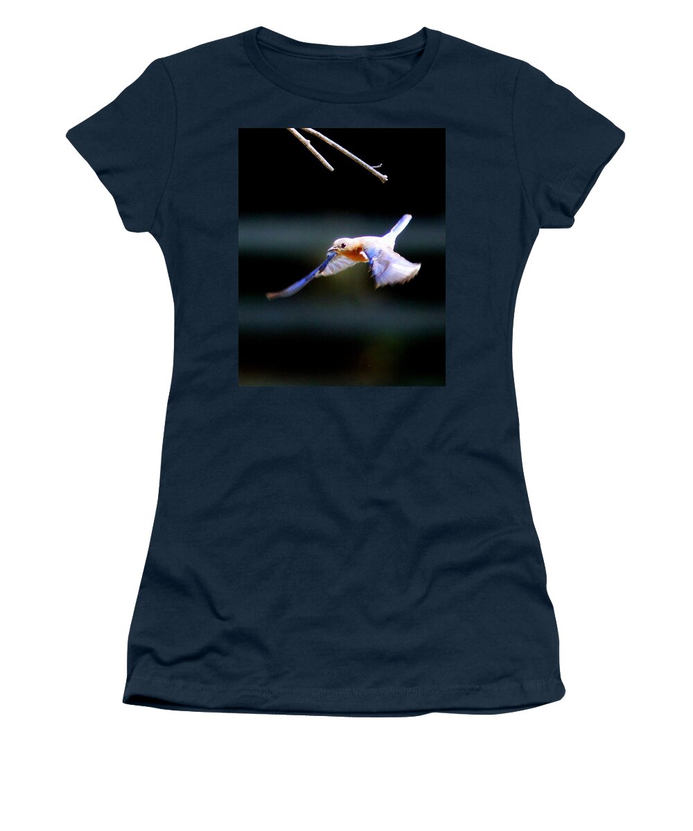 Eastern Bluebird Women's T-Shirt featuring the photograph IMG_7540 - Eastern Bluebird by Travis Truelove