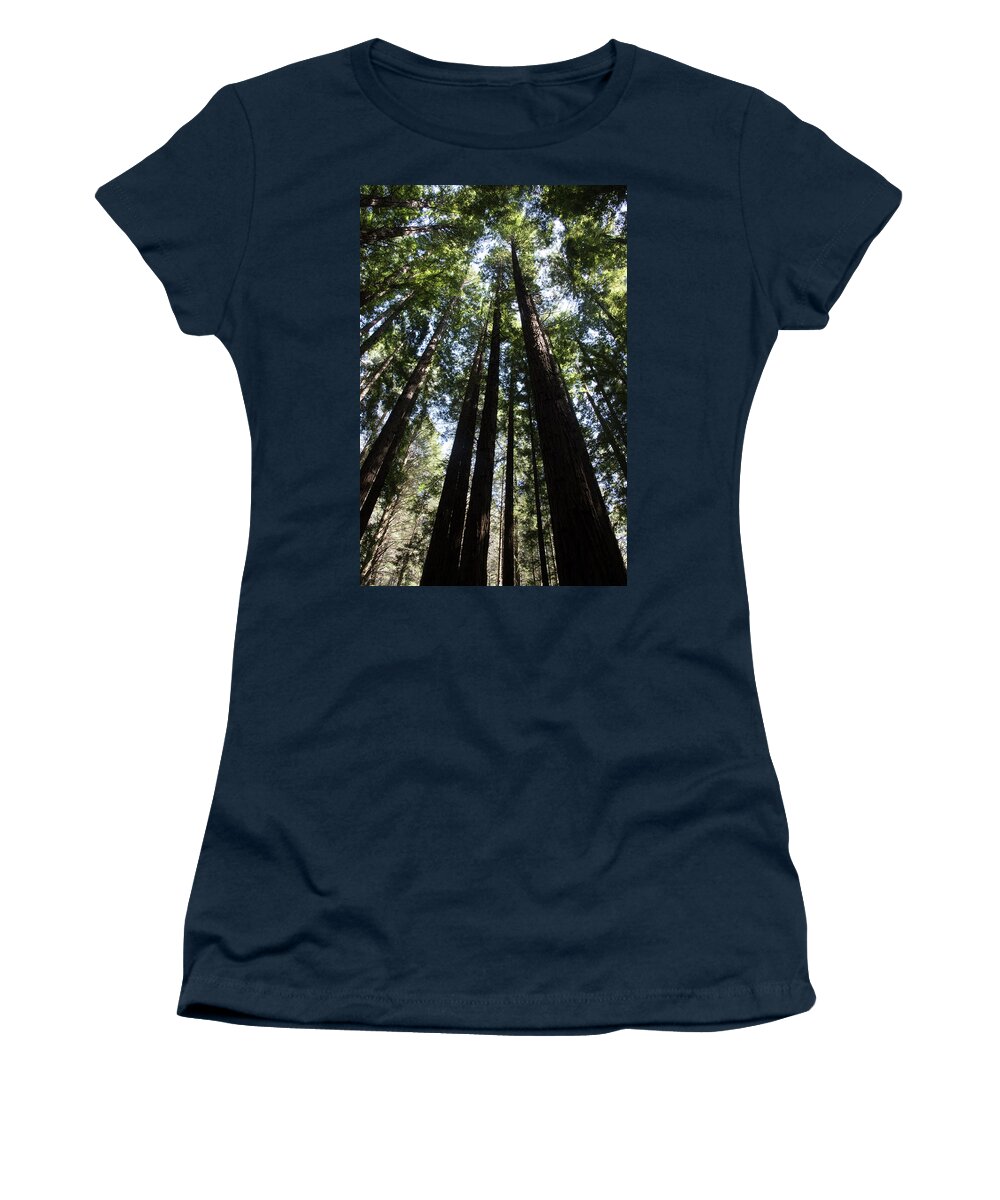 Landscape Women's T-Shirt featuring the photograph In the Forest by Masami IIDA