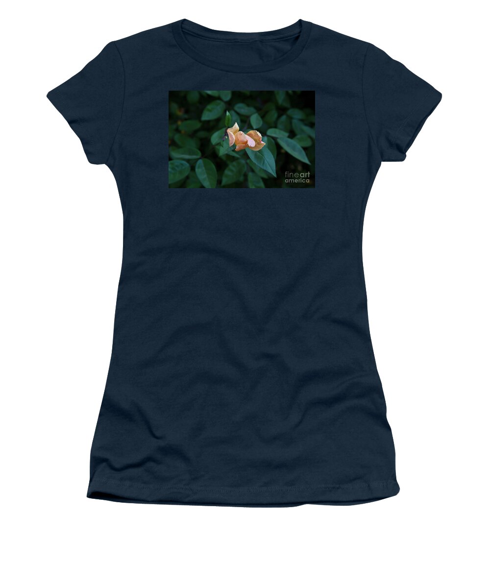 Boyce Thompson Arboretum Women's T-Shirt featuring the photograph In the Pink by Kathy McClure